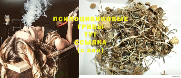 мет Балахна