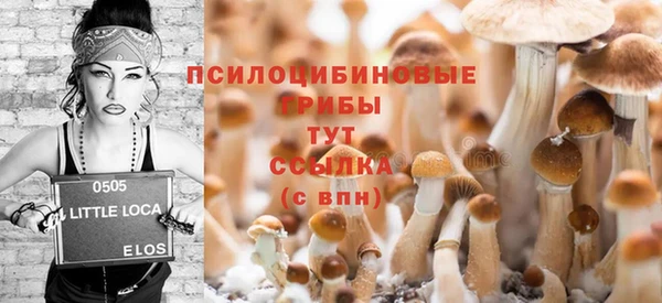 кокс Аркадак