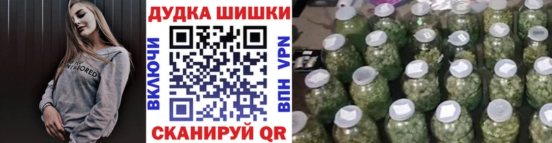 Бошки марихуана планчик купить закладку Новозыбков